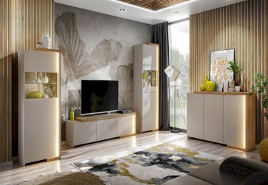 MEBLE DO SALONU DASAR