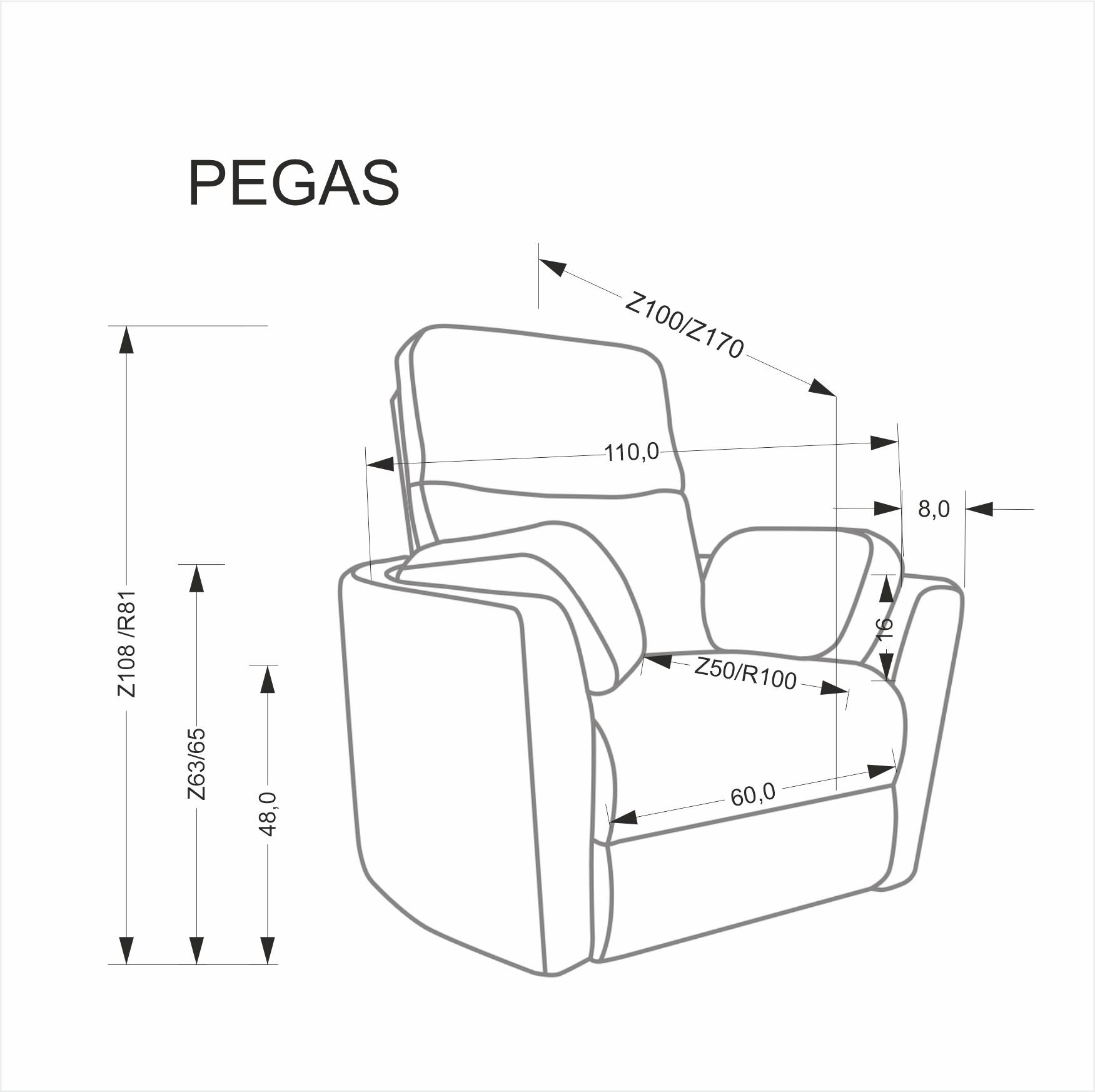 PEGAS fotel wypoczynkowy popielaty