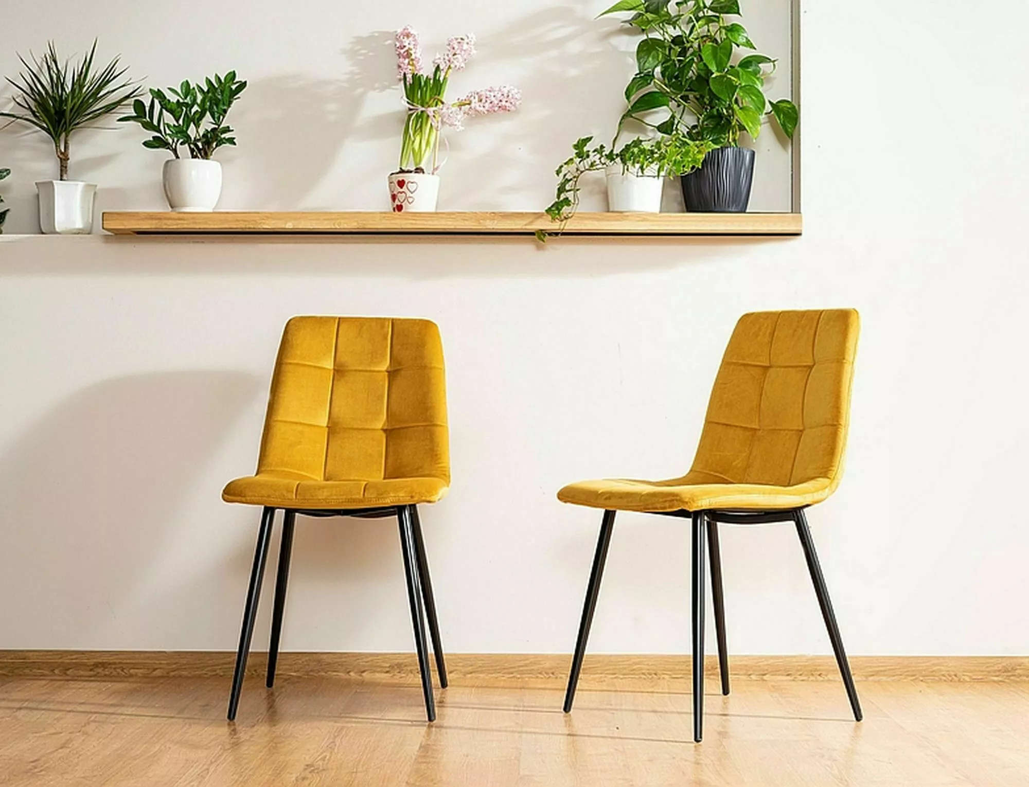 Krzesło mila velvet czarny stelaż/curry bluvel 68