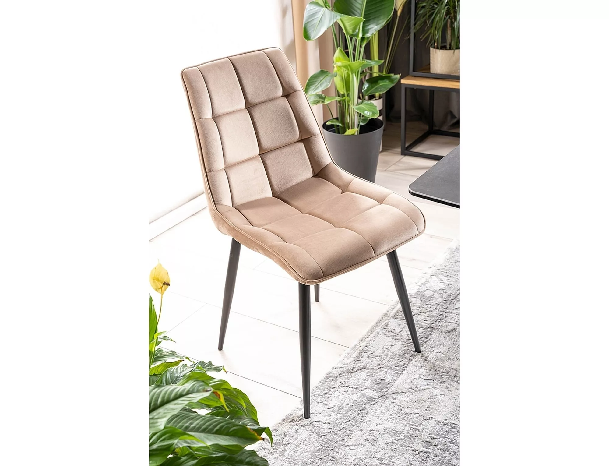 Krzesło chic velvet czarny stelaż / beż bluvel 28