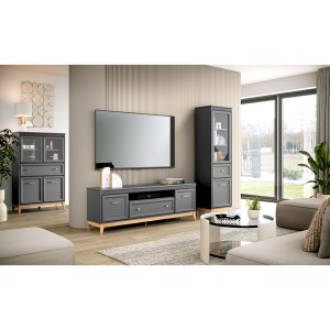 Szafka RTV 2D1S Terra TA-9