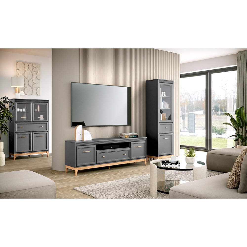 Szafka RTV 2D1S Terra TA-9